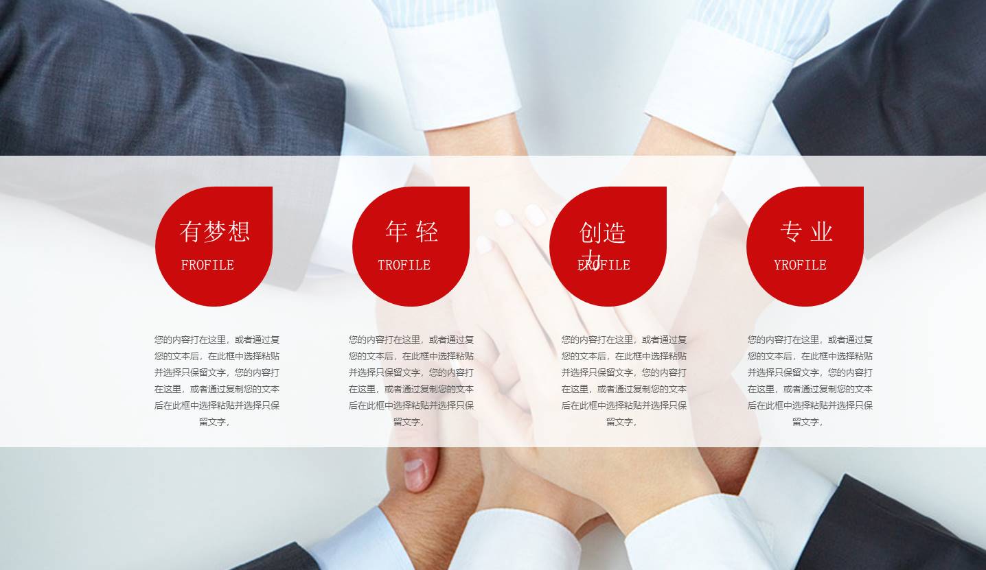 项目策划 (43).pptx